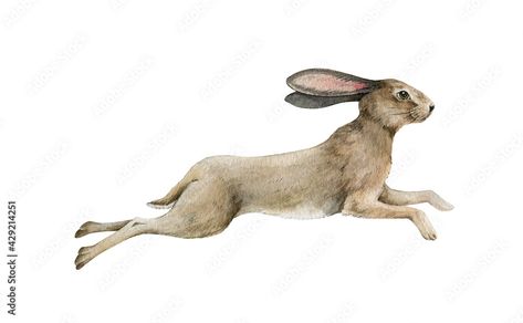 Rabbit Running Drawing, Running Bunny, Free Vintage Art, Rabbit Running, Running Drawing, Running Illustration, Rabbit Jumping, Running Tattoo, Kitty In Love