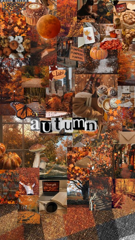 Fall Backrounds, September Vibes, September Wallpaper, Autumn Phone Wallpaper, Helloween Wallpaper, Halloween Wallpaper Iphone Backgrounds, Thanksgiving Background, Halloween Wallpaper Backgrounds, Halloween Wallpaper Cute