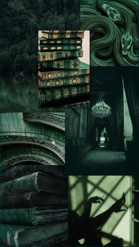 Emerald Green Asthetics, Slytherclaw Aesthetic, Serpent Aesthetic, Mathematics Background, Green Dark Academia, Slytherin Vibes, Backgrounds Green, Burgundy Aesthetic, Slytherin Wallpaper