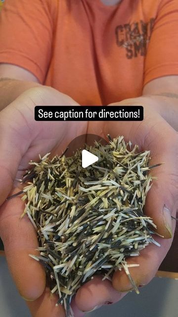 𝐓𝐡𝐞 𝐂𝐥𝐮𝐬𝐭𝐞𝐫 𝐂𝐥𝐮𝐜𝐤 𝐅𝐚𝐫𝐦 on Instagram: "Save those marigold seeds!! 👇🏻
Step 1: deadhead the marigold at the base of the bud.
Step 2: let the marigold dry.
Step 3: hold the marigold by the bud with one hand and wiggle the petals loose with the other hand.
Step 4: split open the bud and retrieve all the seeds.
Step 5: store them in a sealed container in a cool, dark area. 

Enjoy marigolds for many years to come! 🧡💛

#marigold #seed #marigoldseeds #savingmarigoldseeds #deadhead #flowerfarmfriday #saveseeds #learnwithme #theclustercluckfarm" Marigold Seeds, Flower Farm, Seeds, Split, Instagram