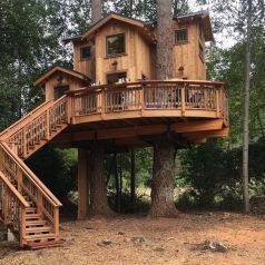 Adult Tree House, Luxury Tree Houses, Beautiful Tree Houses, Tree House Plans, Backyard Trees, Tree House Diy, Cool Tree Houses, Tree House Designs, Diy Tree