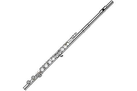 Gemeinhardt Flute (2SP) Flute Png, Guitar Drawing, Popular Music, Flutes, Musical Instruments, Gift Guide, Music Instruments, Birthday Gift, Musical