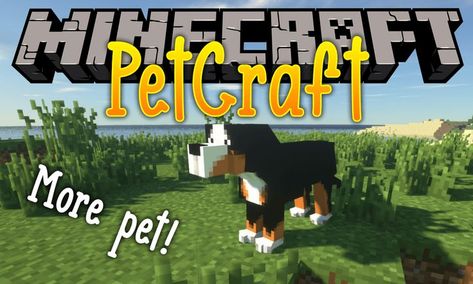 Minecraft Dogs, American Curl, Minecraft Mod, Tibetan Terrier, Pet 1, Minecraft House Designs, Minecraft House, English Mastiff, Abyssinian Cats