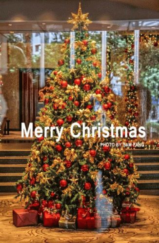 Marry Christmas Gif, New Year Animation, New Year Animated Gif, Xmas Gif, Happy New Year Animation, Merry Christmas Animation, Gif Christmas, Happy New Year Gif, Merry Christmas Photos