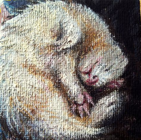 Ferret Painting, Ferret Breeds, Hee Hee, Pottery Painting, Ferret, Flower Drawing, Biology, Creative Ideas, Art Drawings