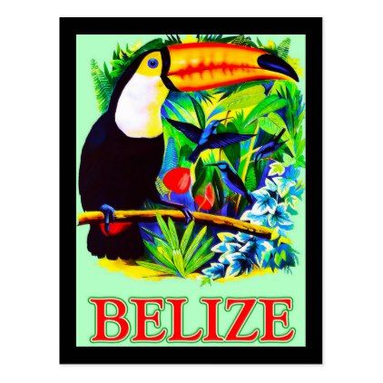 Belize postcard - flowers floral flower design unique style Latin America Travel, Anderson Design Group, Travel Vintage, Signed Artwork, Magic City, City Poster, Vertical Poster, Oahu Hawaii, Romantic Travel