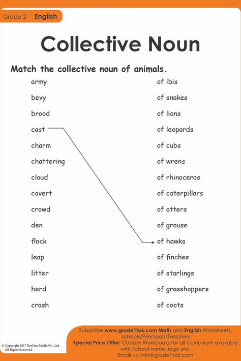 Gender In English, English Worksheets For Grade 1, Collective Nouns Worksheet, Animals Worksheet, Free English Worksheets, Worksheets For Grade 1, Worksheets For Grade 3, Nouns Worksheet, Animal Worksheets