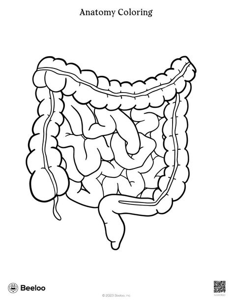 Search result for anatomy Anatomy Coloring Pages Free Printable, Body Coloring, Anatomy Coloring, Fruit Coloring, Anatomy Coloring Book, Daycare Design, Crafts And Activities For Kids, Fruit Coloring Pages, Miniature Printables