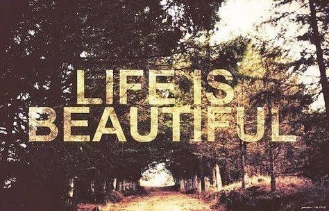 I think sometimes Jesus wants to say to us, “Look, I know you feel busy. And the reality is, that you are. You are busy at work. But take a lesson from me, nothing matters more in this life than showing people they are loved.” Me Vibes, Dirt Road, Beauty Quotes, Daily Quotes, Life Is Beautiful, Beautiful Words, His Eyes, Favorite Quotes, Wise Words