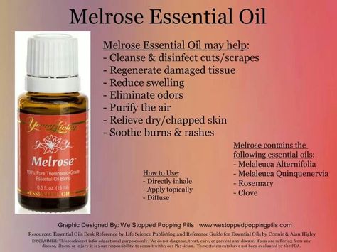 Melrose Young Living Melrose, Melrose Essential Oil, Raven Essential Oil, Digize Essential Oil, Wintergreen Essential Oil, Young Living Essential Oils Recipes, Essential Oils Health, Yl Essential Oils, Essential Oil Benefits