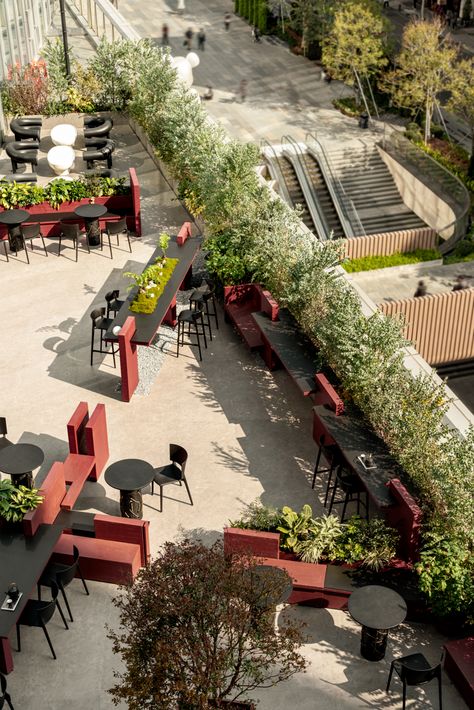 2023 Picture, Terrace Restaurant, Rooftop Design, Cafe Terrace, Outdoor Cafe, Design Websites, Terrace Design, Tables And Chairs, Rooftop Garden