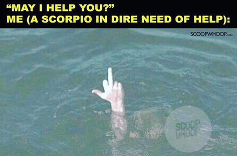 Scorpio Memes Funny So True, Memes Funny So True, Scorpio Things, Zodiac Mind Scorpio, Scorpio Funny, Zodiac Quotes Scorpio, Astrology Scorpio, Scorpio Zodiac Facts, Scorpio Quotes