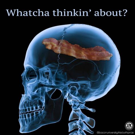 Bacon Brain. Bacon Jokes, Bacon Salt, Bacon Funny, Quirky Humor, Bacon Jam, Food Quotes, Bacon Bits, Hot Lips, Bacon Recipes