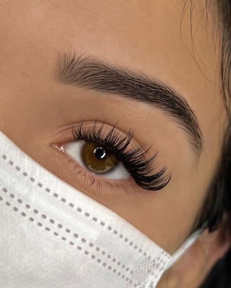 Doll Eye Hybrid Lashes, Simple Hybrid Lashes, Wing Lash Extensions, 17mm Lash Extensions, Whisky Hybrid Lashes, Wet Hybrid Lash Extensions, Hybrid Cateye Eyelashes Extensions, Lash Extension Hybrid, Hybrid Open Eye Lash Extensions