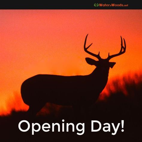 Opening Day Hunting Quotes, Good Will Hunting Movie, Deer Hunting Season, Bow Season, Hunting Quotes, Deer Season, Hunting Women, Bear Quote, Horror Music