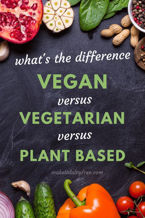 VEGAN, VEGETARIAN, PLANT BASED, WHAT’S THE DIFFERENCE? LET’S BREAK DOWN THE DIFFERENCES BETWEEN THESE AND MORE TO A LEVEL THAT EVERYONE CAN UNDERSTAND. Vegetarian Vs Vegan Facts, Difference Between Vegan And Vegetarian, Vegan Spice Cake, Vegan Vs Vegetarian, Vegetarian Facts, Vegetarian Benefits, Indian Vegan, India History, Avoid Processed Foods