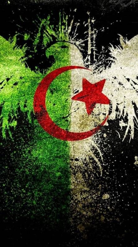 Algeria Wallpaper, Cool Backgrounds, Home Wallpaper, Music Audio, Android Wallpaper, Iphone Background, Independence Day, Iphone Wallpaper, Presentation