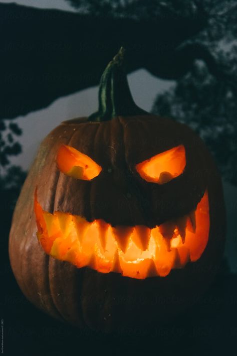 Jack o' Lantern with a sinister grinning face. Best Pumpkin Carving Ideas, Best Pumpkin Carving, Jackolantern Ideas, Halloween Ios, Grinning Face, Halloween Board, Amazing Pumpkin Carving, Spooky Food, Pumpkin Carving Ideas