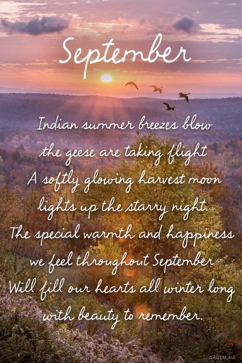 September Indian summer breezes blow the geese are taking flight A softly glowing harvest moon lights up the starry night. The special warmth and happiness we feel throughout September Will fill our h September Quotes Autumn, September Quotes, New Month Quotes, Autumn Poems, Monthly Quotes, Season Quotes, Hello September, Autumn Quotes, Happy Fall Y'all