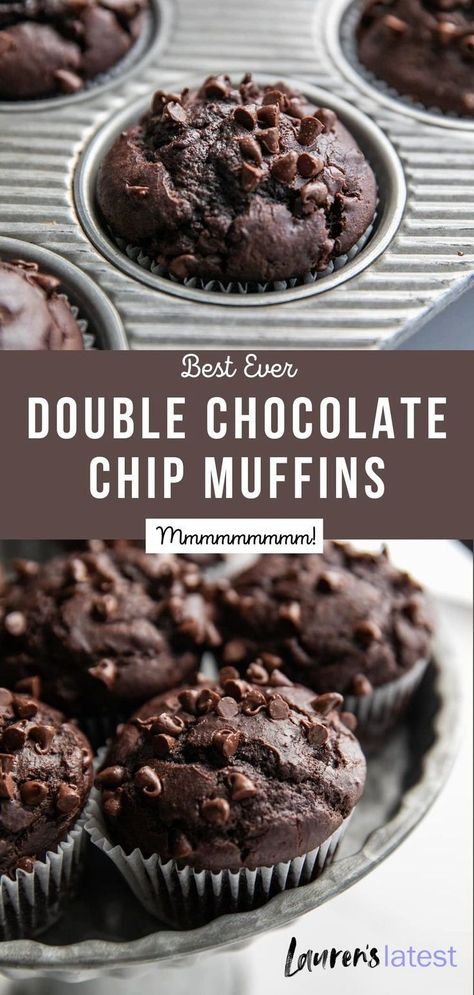 Choclate Chip Muffins, Double Chocolate Chip Muffin Recipe, Choc Chip Muffins Recipe, Homemade Chocolate Muffins, Double Chocolate Muffin Recipe, Best Chocolate Chip Muffins, Chocolate Chip Muffins Easy, Choc Chip Muffins, Mini Chocolate Chip Muffins