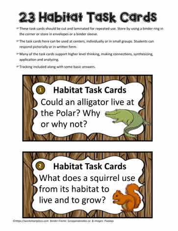 23 Habitat Task Cards Forest Habitat Activities, Habitats 2nd Grade, Georgia Habitats 3rd Grade Project, Animal Structures And Functions, Animal Habitats Activities For Kids, Animal Habitat Activities, Animal Habitats Kindergarten, Teaching Habitats, Endangered Species Activities