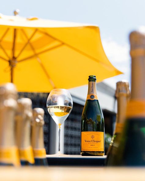 Veuve Cliquot, Wine Down, Lining Up, Kentucky Derby Party, Polo Classic, Derby Party, Dream Trip, Wine Time, Wine Pairing