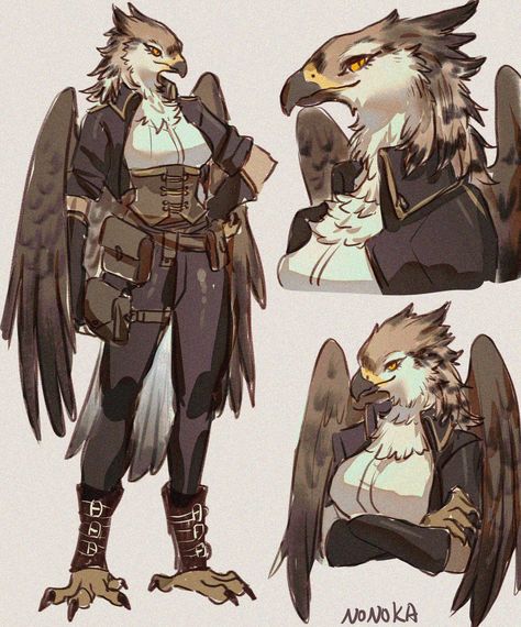 Bird People, Mythical Creatures Fantasy, Dungeons And Dragons Memes, Dnd Dragons, Concept Art Character, Dnd Art, Dungeons And Dragons Homebrew, Character Wallpaper, Dnd Characters