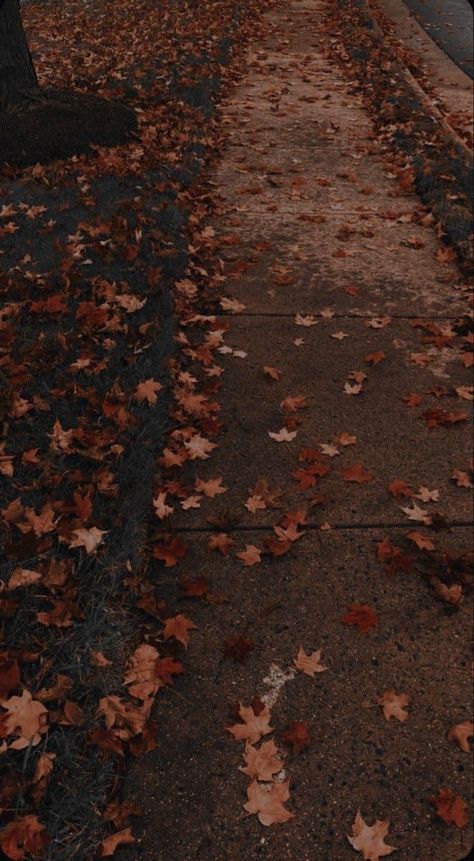 Fall Asthmatic Wallpaper, Fall Halloween Aesthetic Wallpaper, Gloomy Fall Aesthetic, Moody Fall Aesthetic, Dark Fall Wallpaper, Fall Asthetic Photos, Autumn Photos, Autumn Blessings, November Wallpaper