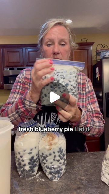 Yellowknife Homestead on Instagram: "How to make blueberry pie filling that you freeze for use later!

Blueberry pie finning recipe:
4 cups fresh blueberries 
1 cup sugar
1/3 cup flour
Dash cinnamon 
-place all ingredients into quart freezer baggie, mix together and then freeze. Make sure you mark the date and what you have in your baggie on the bag. 

#blueberrypiefilling #freshblueberries #homesteading #homesteadersofohio #homesteadfoodie" Freezing Pie Filling, Freezer Blueberry Pie Filling, Blueberry Phyllo Recipes, Berry Pie Recipe With Frozen Berries, Blueberry Pie Recipe, Blueberries Recipes, Bluberry Pie, Frozen Blueberry Pie, Blueberry Pie Filling Recipes