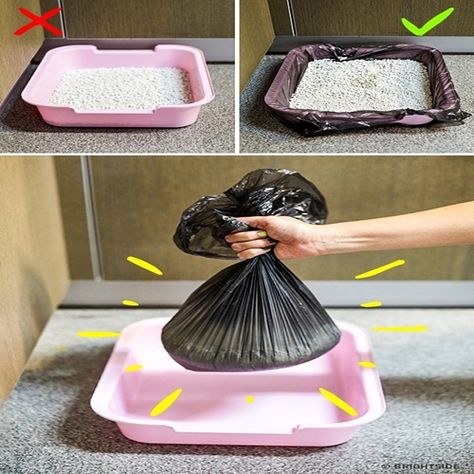 Diy Litter Box, Katt Diy, Katt Grejer, Kat Diy, Chat Diy, Cat House Diy, Cats Diy Projects, Cat Hacks, Pet Bunny