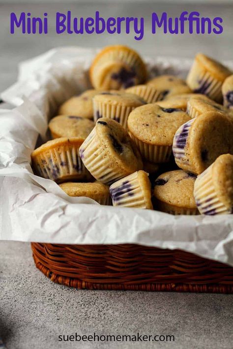 Mini Blueberry Muffins are the perfect little snacks for kids and adults alike. These miniature treats are full of lemon and plump blueberries and they freeze well too! Honey Zucchini, Blueberry Mini Muffins, Cinnamon Zucchini Bread, Bread With Olive Oil, Blueberry Zucchini Muffins, Mini Blueberry Muffins, Moist Muffins, Breakfast Recipes Sweet, Snacks For Kids