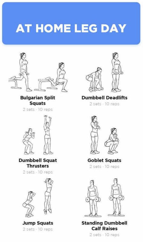 At Home Leg Day, Leg Day Workout Routine, Home Leg Day, Leg Day Workout At Home, Push Pull Legs Workout, Gym Warm Up, Push Pull Workout, Spartacus Workout, Calisthenics Workout Plan