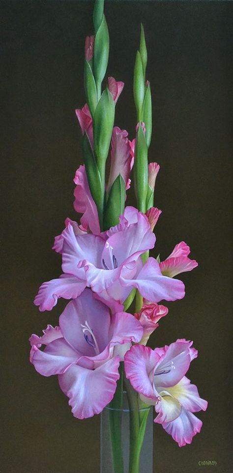 Gladiolus Flower, American Fine Art, Aluminum Panel, Wine Painting, Gladioli, American Painting, Alexandria Va, Butterfly Painting, Birth Month Flowers