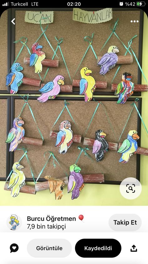 Parrot Activities For Kids, Birds Art And Craft Preschool, Birds Activities Preschool, Bird Crafts For Toddlers, Bird Crafts Preschool, Toddlers Activities, Pets Preschool Theme, Crafts For Toddlers, Hand Crafts For Kids