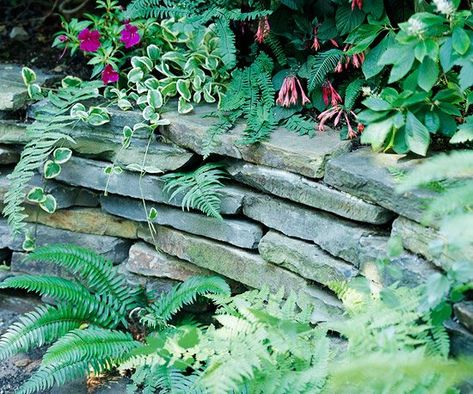 Dry Stacked Stone Retaining Wall, Terrace Wall, Raised Borders, Shaded Garden, Stone Walls Garden, Stacked Stones, Dry Stack Stone, Stacked Stone Walls, Garden Areas