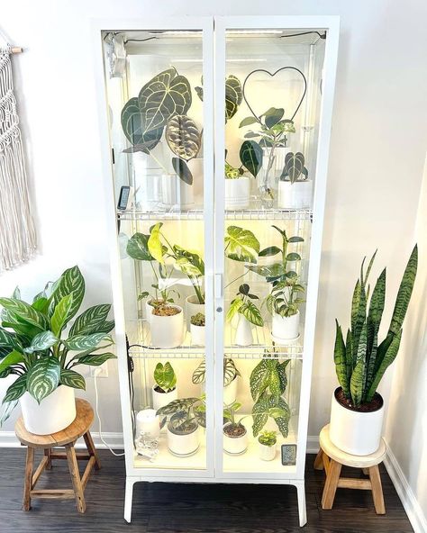 Ikea Vitrine, Plant Terrarium Diy, Ikea Glass Cabinet, Ikea Fabrikor, Ikea Greenhouse Cabinet, Greenhouse Cabinet, Ikea Greenhouse, Diy Cabinet, Nature Room