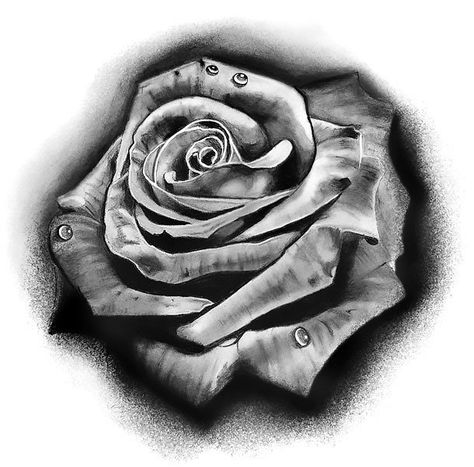 Black and Gray Rose Tattoo Design Rose With Water Drops Tattoo, Detailed Rose Tattoo, Black And Gray Tattoo Design, Roses Sleeve, Stencil Tattoos, Black And Grey Rose Tattoo, Tattoo Stencil Designs, Ako Kresliť, Rose Tattoo Stencil