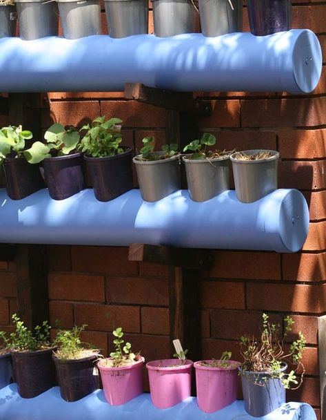 DIY: Self-watering vertical garden - Renew Large Vertical Garden, Vertical Garden Pots, Diy Vertical Garden, Irrigation Diy, Vertical Garden Planters, Garden Wall Designs, Diy Balcony, Self Watering Plants, Vertical Garden Indoor