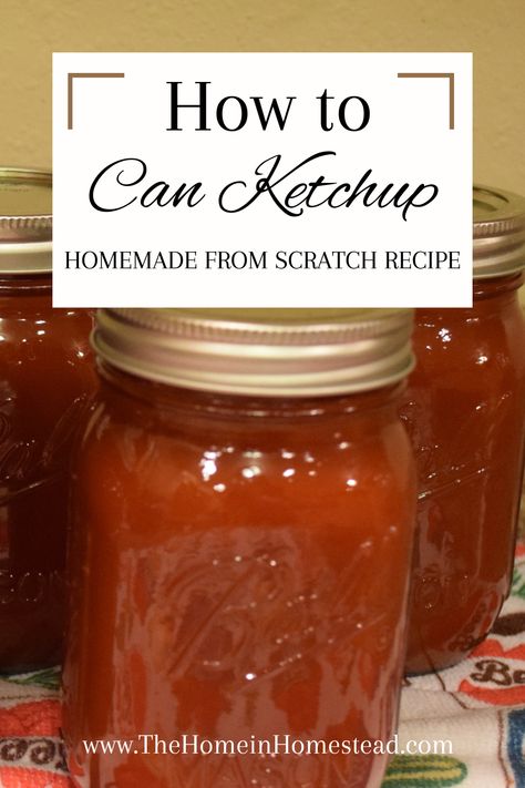 How To Make Catsup Homemade Ketchup, Homemade Organic Ketchup, Homemade Catsup For Canning, How To Can Ketchup, Home Canned Ketchup, Homemade Canned Soup Recipes, Homemade Ketchup Canning Recipe, Canning Homemade Ketchup, Homemade Canned Ketchup