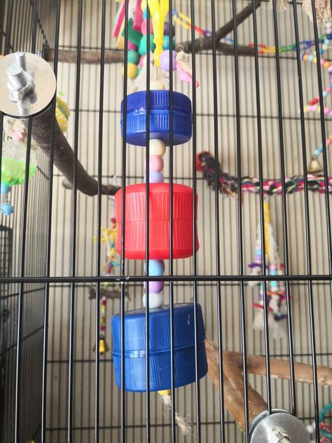 Parrot Foraging Toys Diy, Bird Foraging Toys Diy, Rat Foraging Toys, Diy Bird Toys Parakeets, Diy Bird Perch, Rat Toys Diy, Diy Cockatiel Toys, Parrot Toys Diy, Diy Budgie Toys