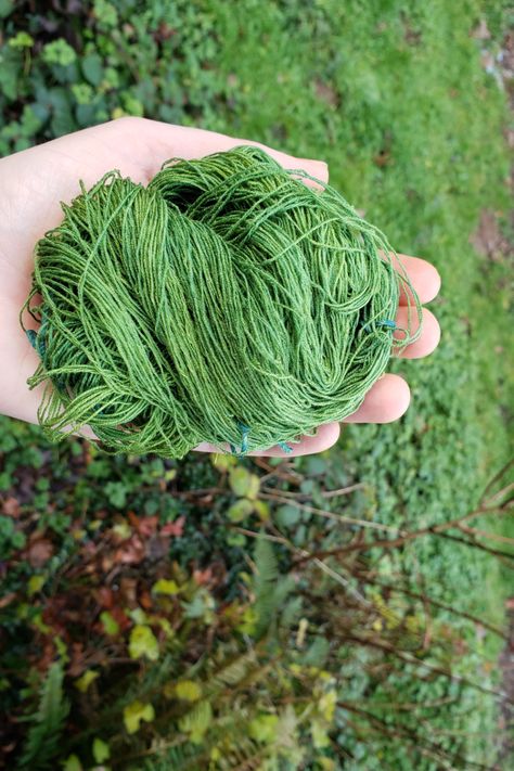 Goldenrod Dye, Natural Green Dye, Mulch Ideas, Leaf Dyeing, Forest Farm, Dried Hibiscus Flowers, Dye Yarn, Dyeing Tutorials, Diy Dye