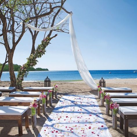 Explore the ultimate 2020 destination wedding resort guide by Destify, featuring gorgeous locations across the Caribbean. Dreams Las Mareas Costa Rica, Las Mareas Costa Rica, Costa Rica Liberia, Liberia Costa Rica, Wedding Resorts, Wedding Resort, Best Destination Wedding, Costa Rica Wedding, Destination Bride