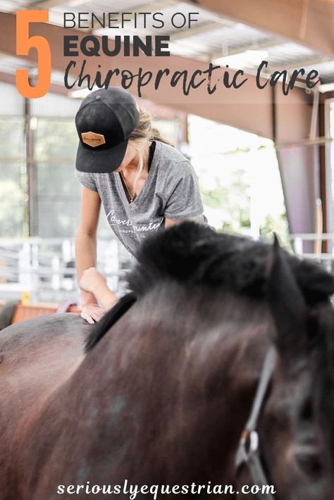 Horse Chiropractor, Chiropractor Benefits, Equine Chiropractic, Equine Massage Therapy, Horse Massage, Benefits Of Chiropractic Care, Equine Massage, Equine Care, Healthy Horses