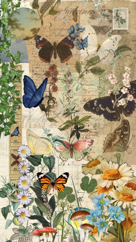 #collage #butterfiles #butterlfy #aesthetic #moodboard Pinterest Shuffle, Cottagecore Wallpaper, Nature Collage, Cottagecore Art, Collage Scrapbook, Beautiful Bugs, Vintage Poster Art, Cute Patterns Wallpaper, Beautiful Backgrounds