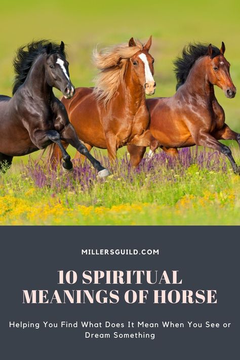 10 Spiritual Meanings of Horse Horse Spiritual Meaning, Horse Symbolism, Horse Spirit Animal, Brown And White Horse, Horse Spirit, Animal Meanings, Celtic Legends, Four Horses, Spiritual Work