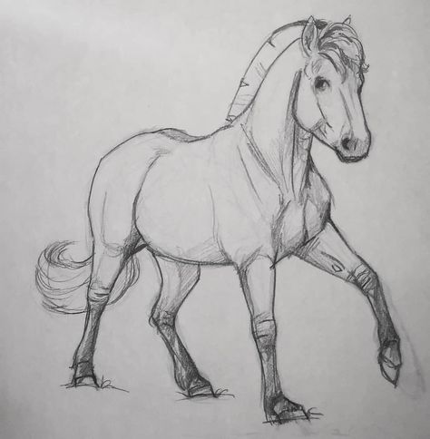 Horse Sketch Art, Equine Art Pencil Drawings, Horse Doodle, Stacks Of Books, Just Let Go, Horse Art Drawing, Horse Sketch, Horse Art Print, Horse Illustration