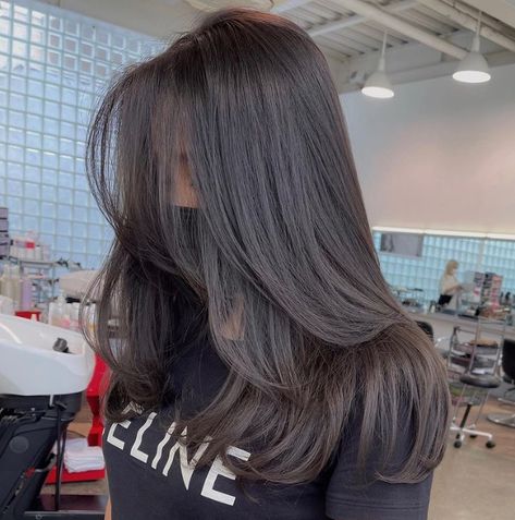 Soft Long Layers Medium Hair, Soft Long Layers Long Hair, Long Soft Layers Haircut, Soft Layers Long Hair, Soft Layers Medium Hair, Soft Layered Haircut, Haircuts For Long Hair Straight, Haircuts For Long Hair With Layers, Brown Hair Looks