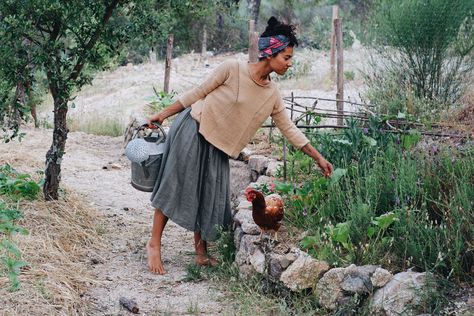 Herbal Books, Homestead Style, Herbal Academy, Books For Beginners, Holistic Approach To Health, Olive Trees, Farm Style, Cactus Y Suculentas, Olive Tree