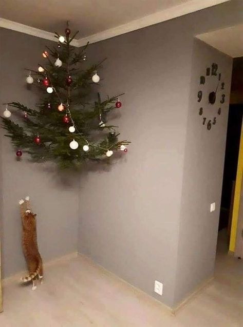 Cat Proof Christmas Tree, Christmas Tree Village Display, Surviving Christmas, Christmas Tree Village, Cat Proofing, Cat Christmas Tree, Memes Of The Day, Funny Animal Memes, Cat Diy