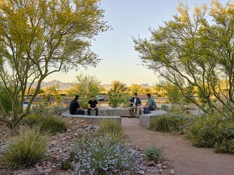 Scottsdale Community College Cloud Song – COLWELL SHELOR LANDSCAPE ARCHITECTURE Scottsdale Landscape Design, Garden Enclosures, Desert Residential Architecture, Scottsdale Botanical Garden, Tpc Scottsdale, Dry Landscape, Landscape Architecture Park, Sonora Desert Museum, Landscape Desert